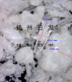 苏氨酸
